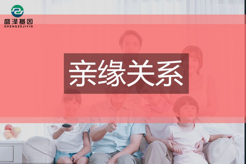 爺爺和孫子做親緣鑒定，揭露兒子去世后掩埋的真相...