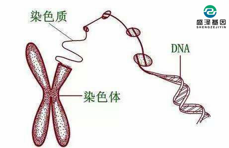 個人隱私親子鑒定可以保密嗎？怎么選擇司法親子鑒定機構？