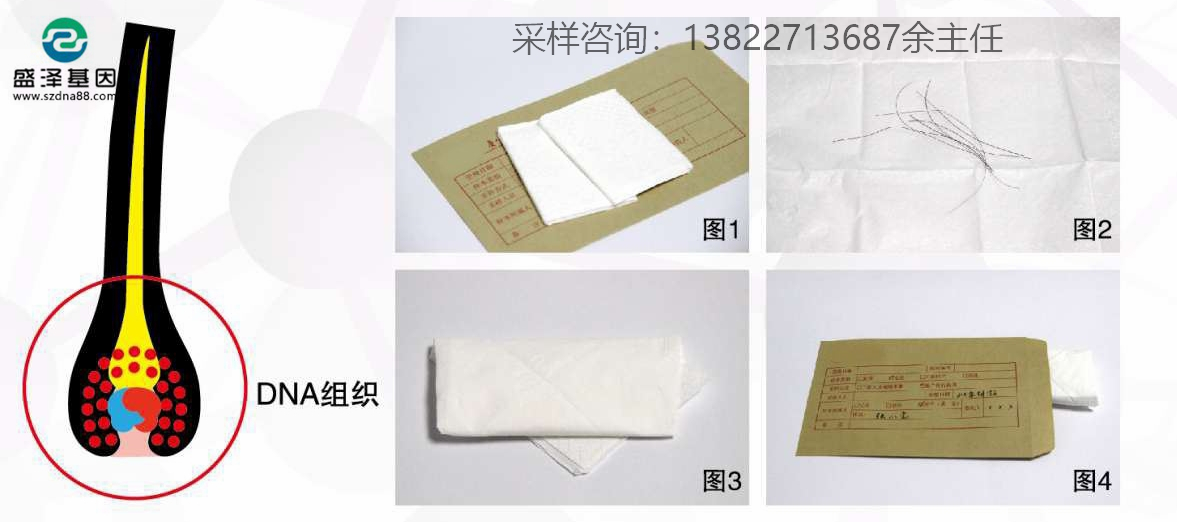 個人親子鑒定簡單采樣方法指導（血痕、口腔拭子、毛發）
