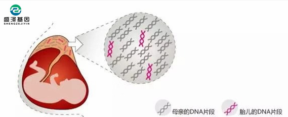 中山隱私親子鑒定所：單眼皮基因夫妻能生出雙眼皮寶寶嗎？