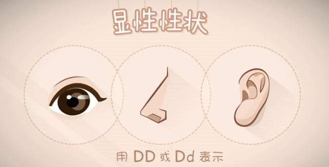 親子鑒定到底是個(gè)啥？怎么個(gè)鑒定法？
