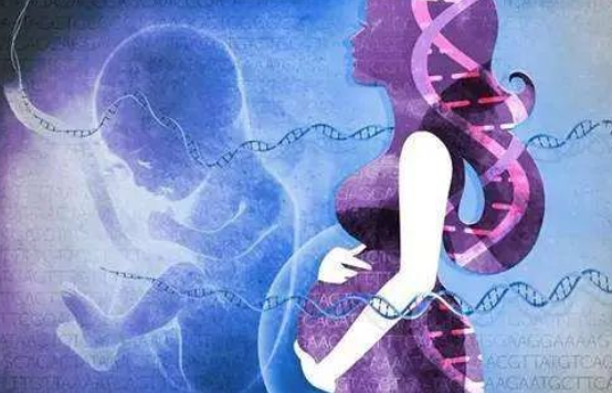 無創(chuàng)胎兒親子鑒定抽血需要孕婦空腹嗎？