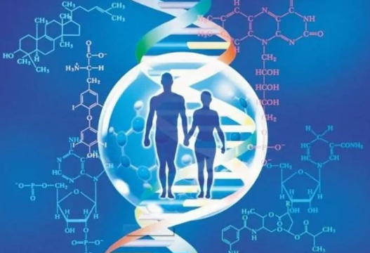 男方要求做親子鑒定的情況增多，是西方文化與傳統(tǒng)道德觀點(diǎn)的碰撞