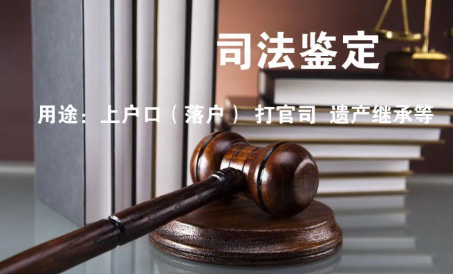 隱私親子鑒定與司法親子鑒定，到底怎么選？