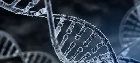 做親子鑒定血液如何釆取？