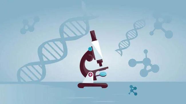 中山個(gè)人隱私親子鑒定：需要的證據(jù)和指南