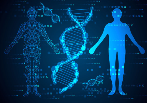 中山私人親子鑒定又稱(chēng)匿名隱私親子鑒定