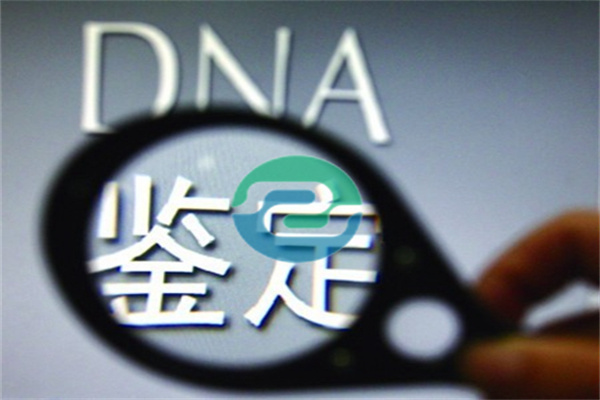 中山親子鑒定怎么預約？過程復雜嗎？它會泄露隱私嗎？