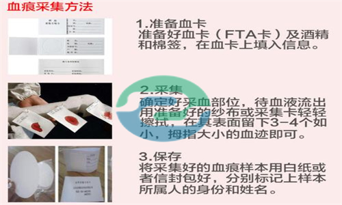 中山懷孕親子鑒定價格多少？中山無創胎兒親子鑒定