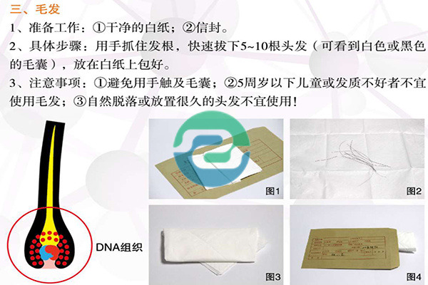 中山親子鑒定的收費標準是怎樣的？親子鑒定費用介紹