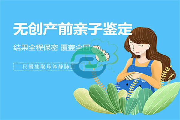 中山無創胎兒親子鑒定:專供孕婦使用，安全方便