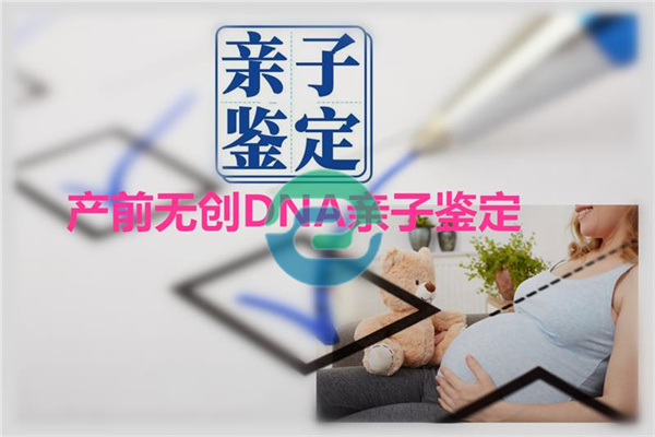 2025年如何進行中山親子鑒定介紹！