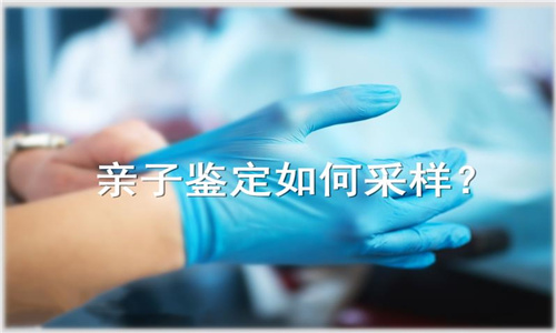 中山司法親子鑒定程序如下介紹