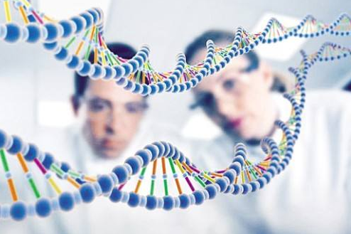 中山哪里有做DNA親子鑒定？什么機構可以做親子鑒定？