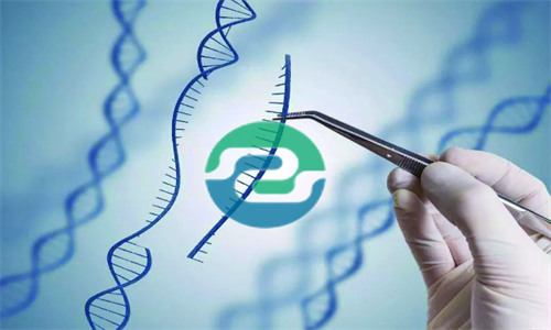 發現懷孕可以做中山親子鑒定嗎？可以保護隱私嗎？