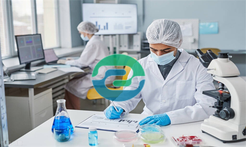 中山上戶口時必須進行親子鑒定嗎？