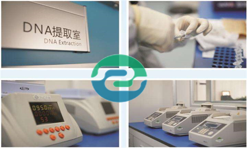 中山親子鑒定根據(jù)類型不同需要的材料也不一樣！