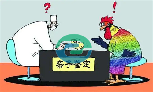 中山匿名親子鑒定結(jié)果如何收費(fèi)？收費(fèi)會(huì)不會(huì)更貴一些？