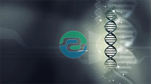 中山親子鑒定的費用是多少？影響價格的因素是什么？