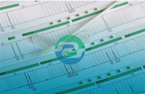 中山親子鑒定結(jié)果與外貌特征相似度的關(guān)系