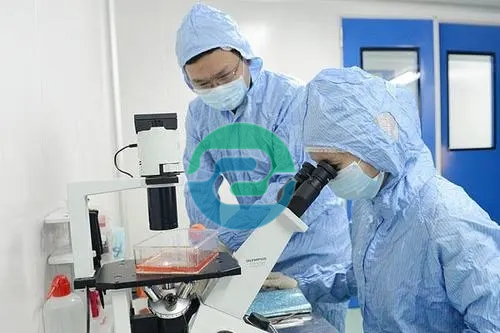 中山親子鑒定要花多少錢呢？什么因素影響價(jià)格？