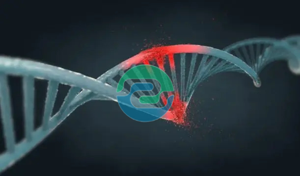 如何在懷孕一個(gè)月內(nèi)進(jìn)行中山無創(chuàng)胎兒親子鑒定？