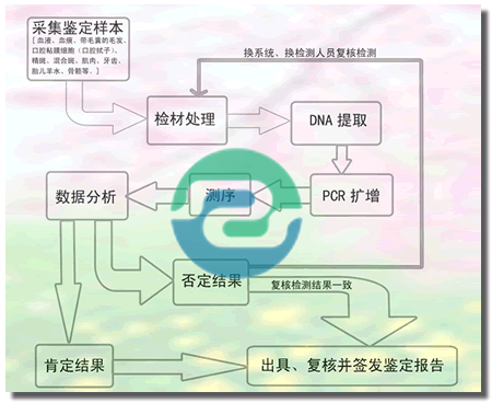 非婚生子女需要做中山親子鑒定嗎？