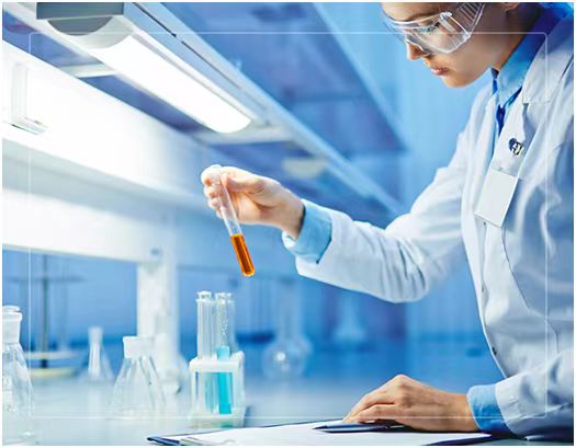 中山司法親子鑒定與中山個人親子鑒定的區(qū)別